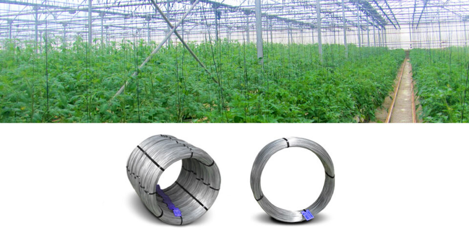 Fil d’acier aluminisé pour serres chaudes