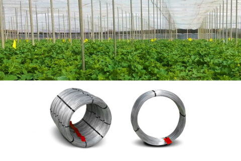 Galvanized steel wire for greenhouses