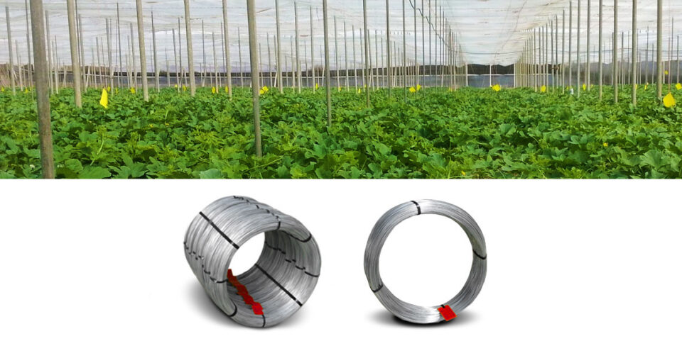 Galvanized steel wire for greenhouses