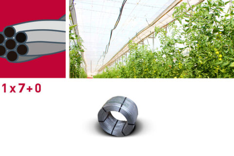 Galvanized cord for greenhouses