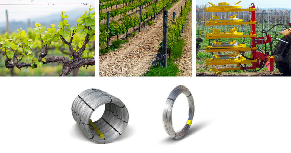Reinforced galvanized wire for vines