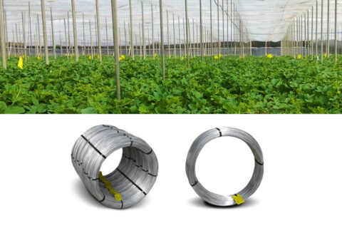 Galvanized hard iron wire for greenhouses