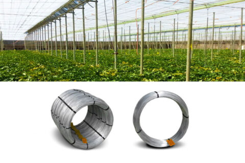 Galvanized steel oval wire