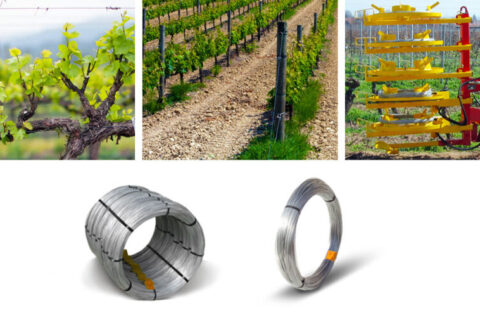 Galvanized hard oval wire